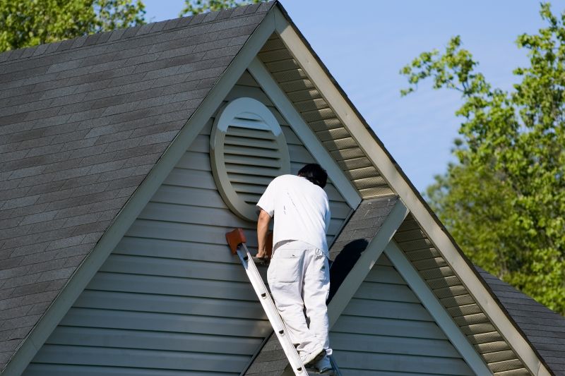 House Siding Painting in Fort Collins, CO